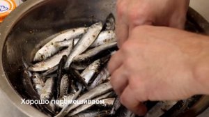 Солим кильку правильно