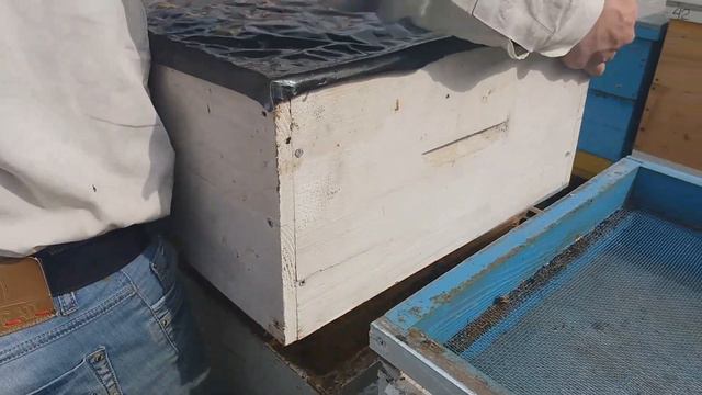 Карніка Ф1 Пернер х Пеххакер. Частина 2. Весняна ревізія 2019 #карника смотреть онлайн