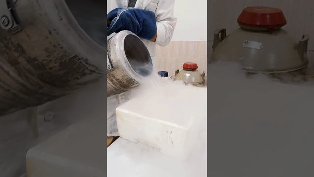 видео криобанк смотреть онлайн