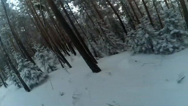 Поймал дерево. Сноубайк по лесу. Snowbike смотреть онлайн