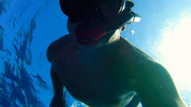 snorkeling soma bay смотреть онлайн