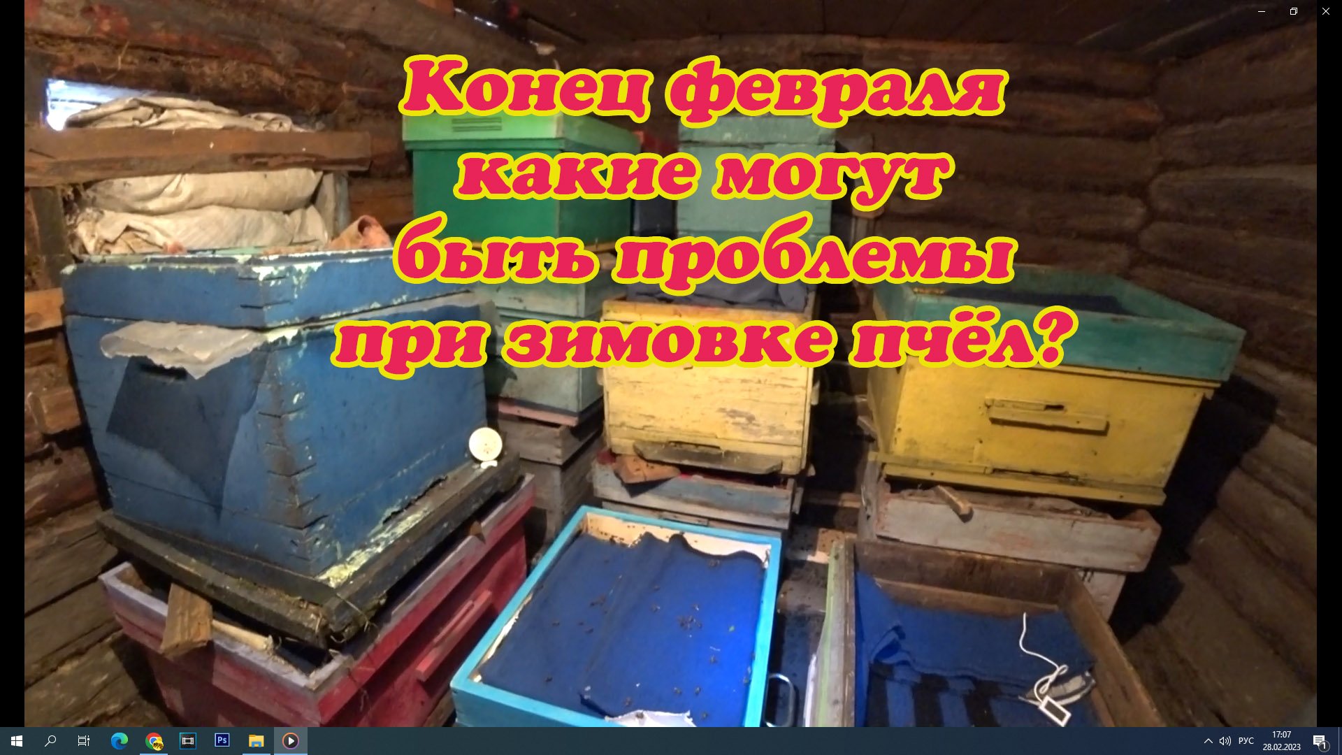 ЗИМОВКА ПЧЁЛ В КОНЦЕ ФЕВРАЛЯ, НА ЧТО УДЕЛИТЬ ВНИМАНИЕ ДЛЯ ЛУЧШЕЙ ЗИМОВКИ. смотреть онлайн