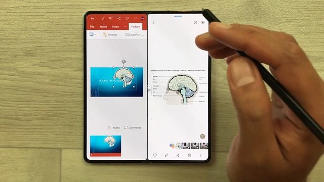 How to Use Microsoft Office in Samsung Z Fold 5 - Word, PowerPoint & Excel смотреть онлайн