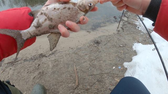 Классная рыбалка на фидер в Шатуре. Конец февраля 2022. смотреть онлайн