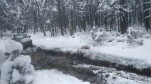 Как НОВАЯ СТОК НИВА Тревел Выстояла свой первый Оффроад ТРОФИ РЕЙД на настоящем ВНЕДОРОЖЬЕ?