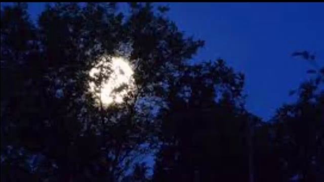 Номер не существует. Пугающие и интересные истории. смотреть онлайн