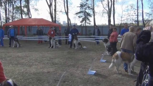 Московская сторожевая 2012.04.30 Открытие Чемпионата 2012 смотреть онлайн