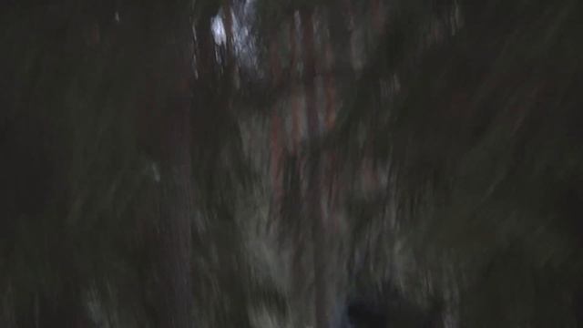 Новый пелец Мини отзывы владельца смотреть онлайн