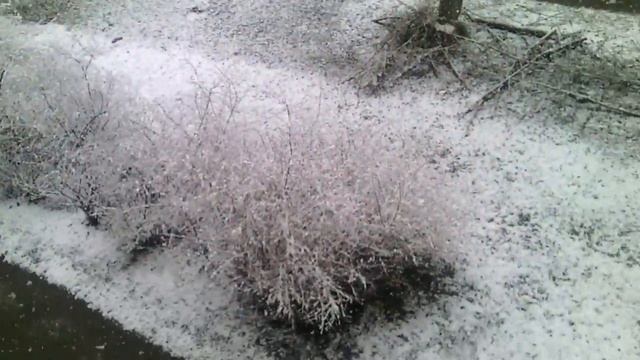 СНЕГ В МАЕ НИЖНИЙ ТАГИЛ смотреть онлайн