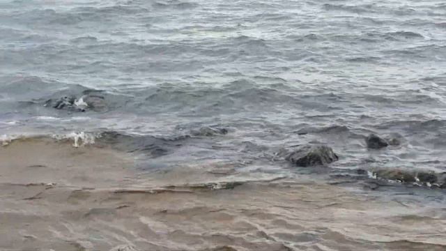 Письмо моим детям… смотреть онлайн