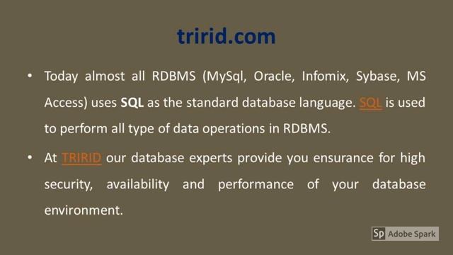 SQL training at Tririd смотреть онлайн