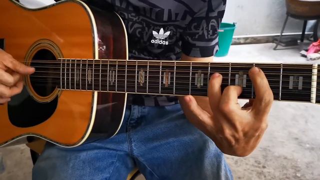 Yamaki YW-80 12-string All Solid Japan