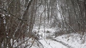 Охотничьи истории часть  2