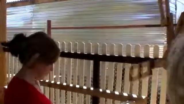 Заказать мельницу для дачи декоративную смотреть онлайн