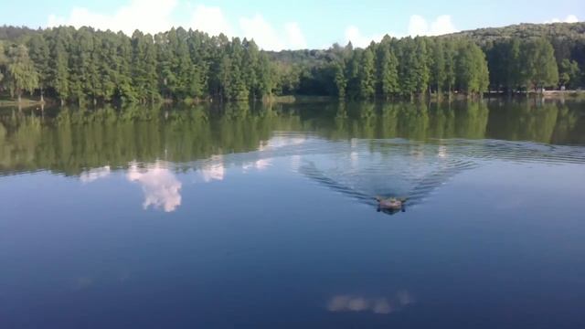 лодка за захранка-тест смотреть онлайн