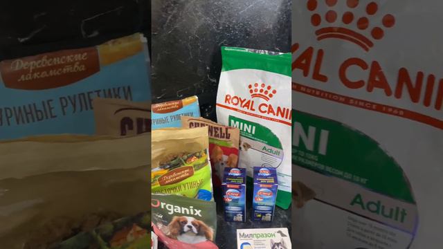 Обзор покупок для кавалер Кинг чарльз спаниель