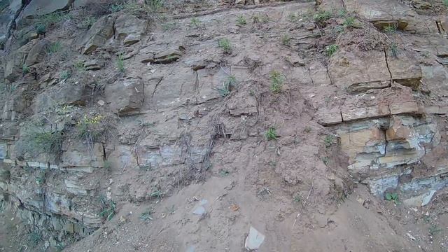 Поход за окаменелостями.Дно древнего моря. Река Кама. смотреть онлайн