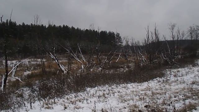 Поход в одного по лесу . Ноябрь смотреть онлайн