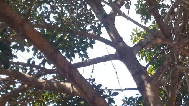 РАЙОН ХАЙФЫ АХУЗА ДЕСКАЯ ПЛОЩАДКА И ПАРК смотреть онлайн