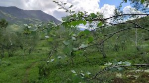 ХИБИНЫ VANLIFE. ПУТЕШЕСТВИЕ НА АВТОДОМЕ | МЕСТО НА КАРТЕ