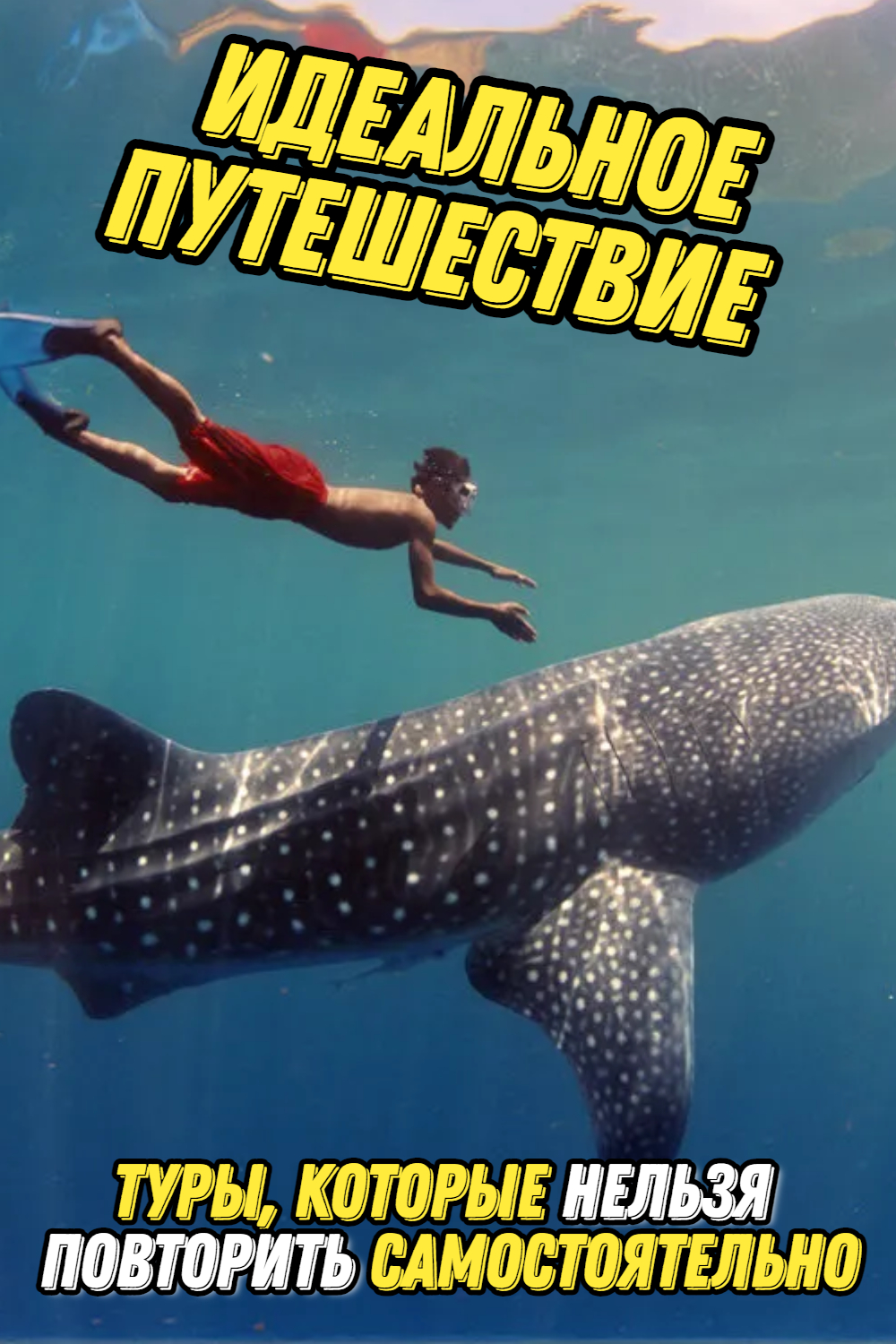 Туры которые нельзя повторить самостоятельно #отдых #путешествия #travel #путешествие#туризм смотреть онлайн