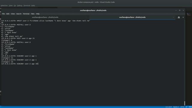 Redis And Redis Sentinel Crash Course - Redis Commands And High Availability Tutorial