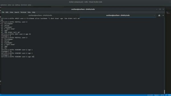 Redis and Redis Sentinel Crash Course - Redis Commands and High Availability tutorial