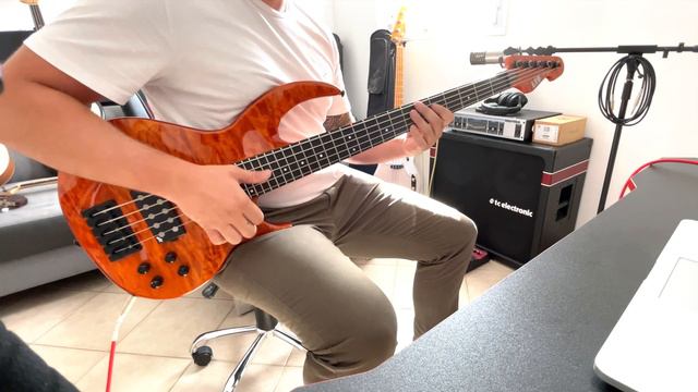 Run For Cover - Marcus Miller - ESP LTD BB1005 смотреть онлайн