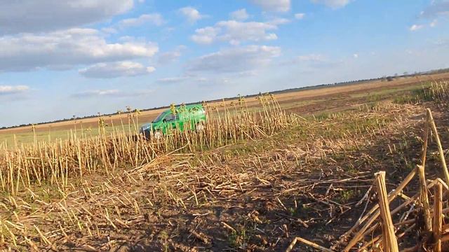 УЖАС,что стихия натворила на поле подсолнечника. Будет компенсация??? смотреть онлайн