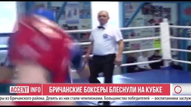 Бричанские боксеры блеснули на кубке смотреть онлайн