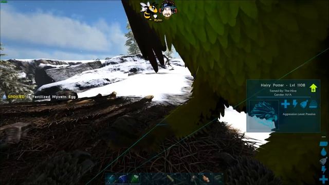 Ark Survival Evolved Ragnarok Ice Wyvern Nest Locations & Secret Wyvern Cove.