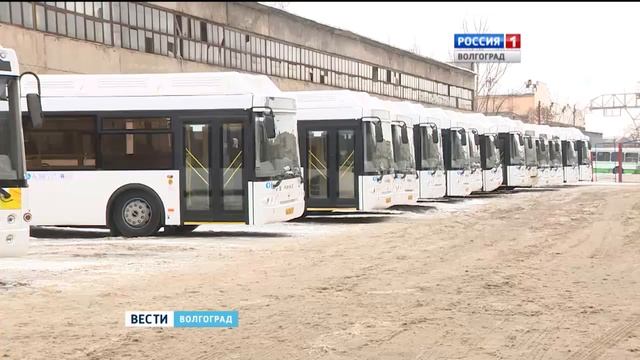 В Волгограде готовятся к запуску новые автобусные линии смотреть онлайн