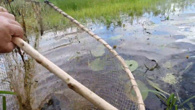 Рыбалка сачком по тинкам. смотреть онлайн