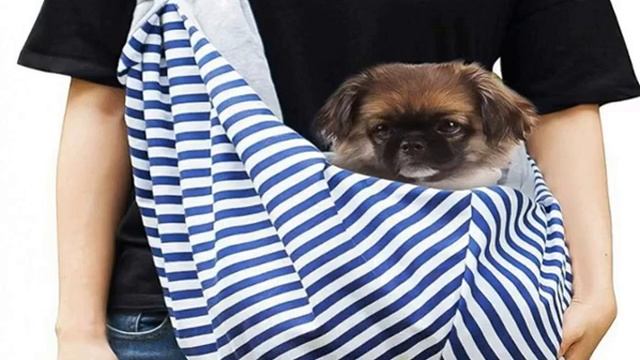 Переноска для собак мелких, средних и крупных пород смотреть онлайн