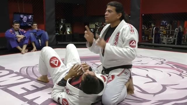 Джиу-Джитсу.Мастер-класс. смотреть онлайн