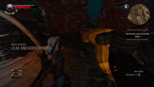 LIAR - The Witcher 3 Wild Hunt PC Playthrough Part 4 смотреть онлайн