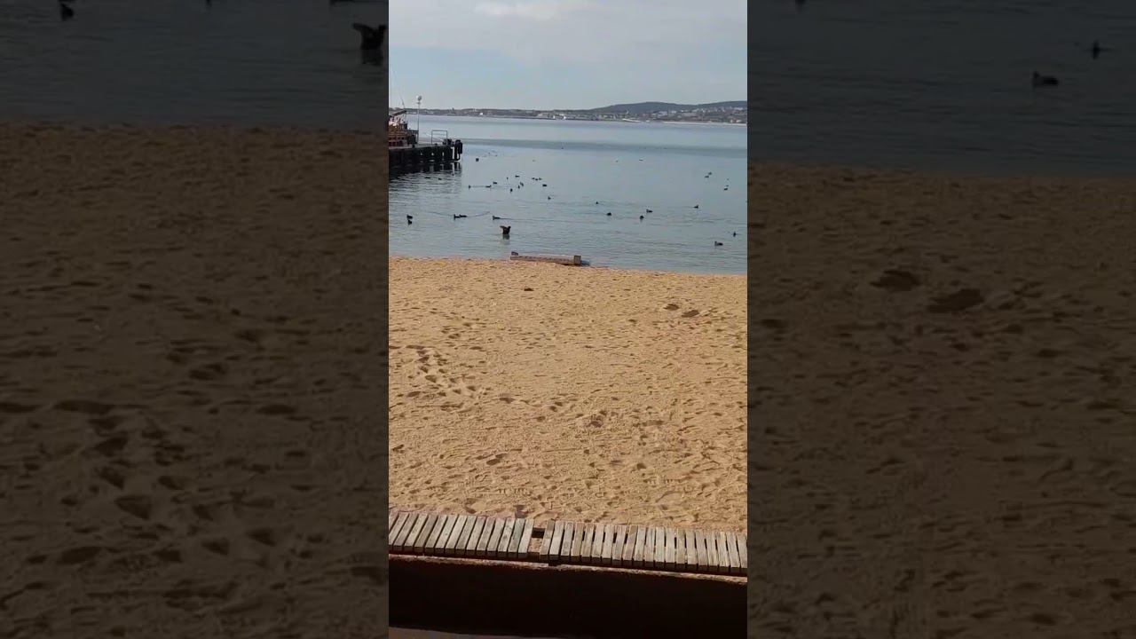 Февраль в Геленджике смотреть онлайн