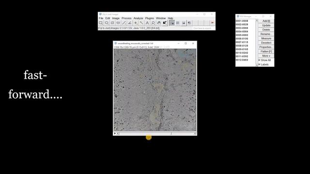 FIJI (ImageJ): Analysis of Scratch Assays, Wound Healing & Cell Migration [Wound Healing Size Tool] смотреть онлайн