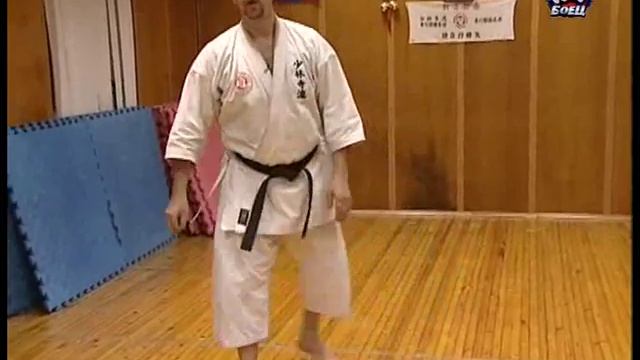 Дан тест  На тренировке у Николая Коровина