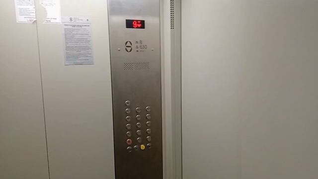 Расписной подъезд! Лифты ЩЛЗ 2020 по адресу: ул. Никитина 119 смотреть онлайн