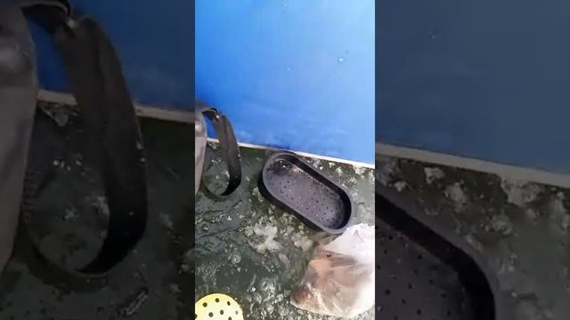 Кольчугино река Пекша. смотреть онлайн