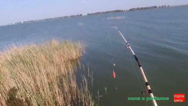 ВОТ ЭТО РЫБАЛКА. СПИННИНГ КРОКОДИЛ ДОНКА ЛОВИТ. смотреть онлайн