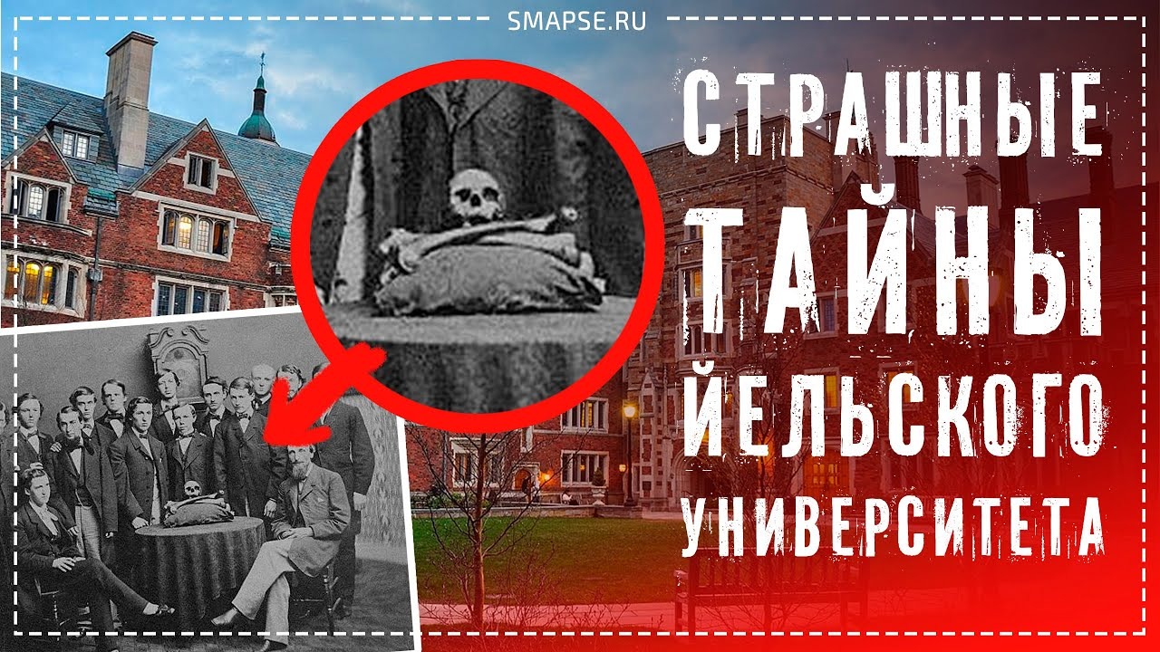 Йельский Университет (Yale University). Лига Плюща. Образование в США в Ivy League