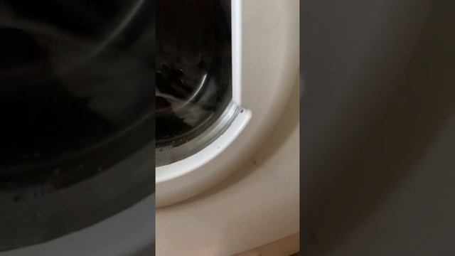 СКРЕЖЕТ В СТИРАЛЬНОЙ МАШИНЕ- ЧТО ДЕЛАТЬ!? смотреть онлайн