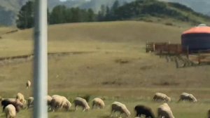 Путешествие на Алтай 2023. Чемал, Акташ. И немного сибирских будней.