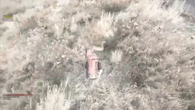 DayZ Standalone - Defibrillator fail - SWE смотреть онлайн