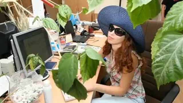 Как настроиться на работу, когда Лень Прием самомотивации смотреть онлайн