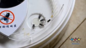 Автоматическая USB мухоловка «Fly Trap»