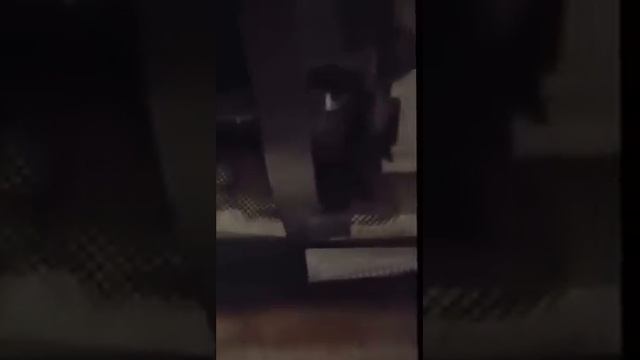 Touareg Kardanwelle/ Mittellager tauschen смотреть онлайн