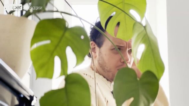 Как стать дизайн-боссом: пошаговая инструкция смотреть онлайн